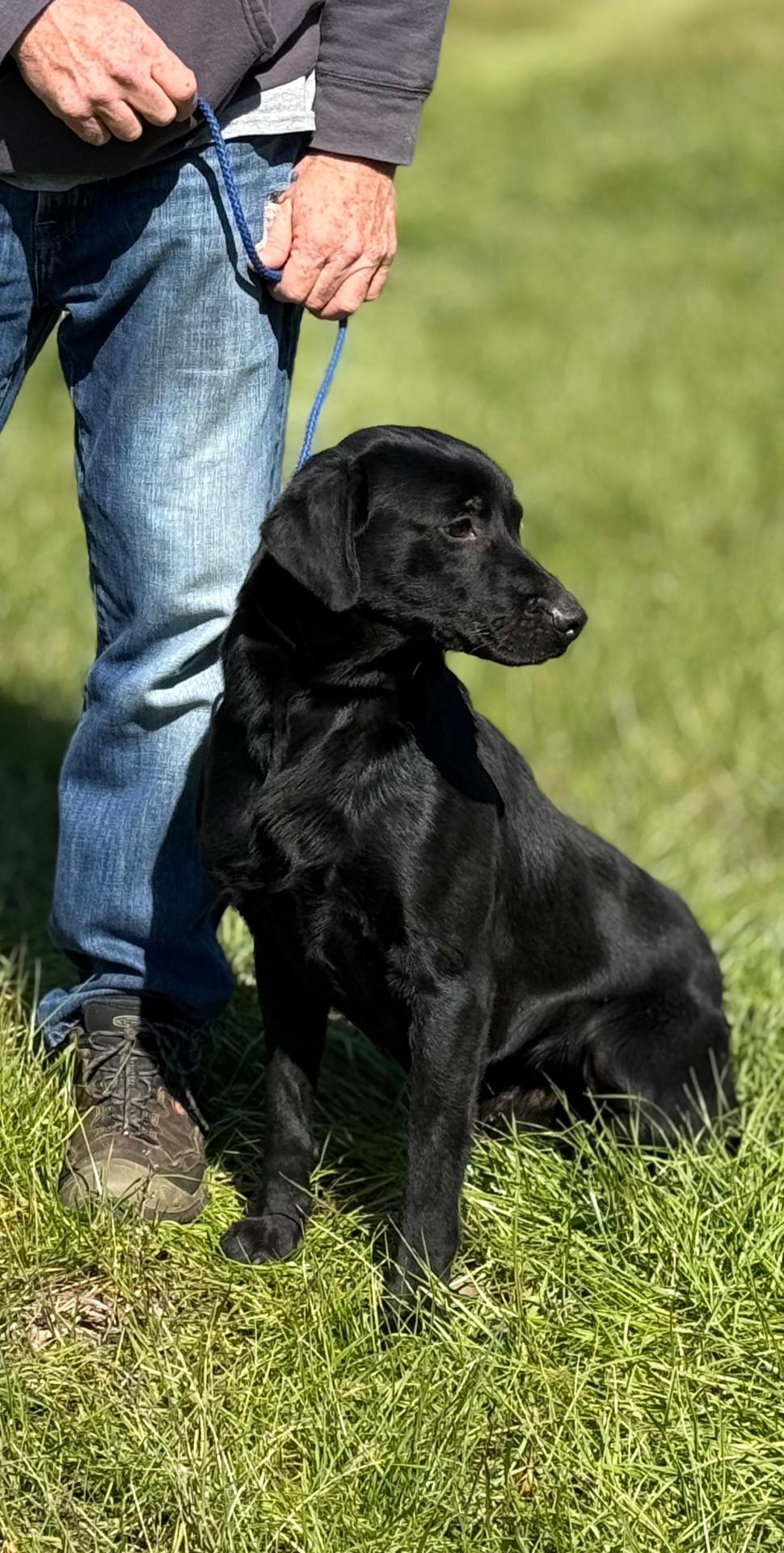 Clyde I . 25 photo 2