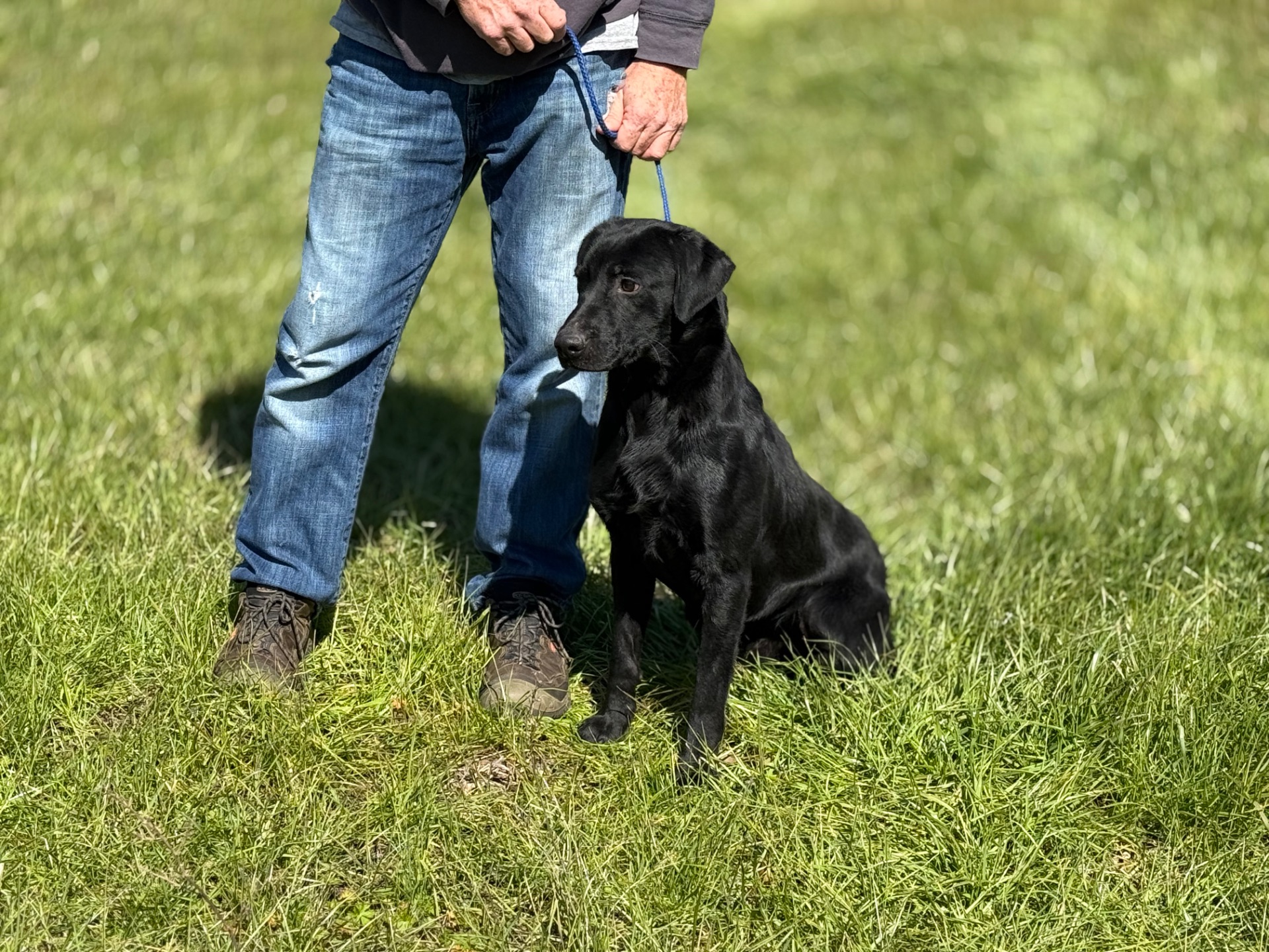 Clyde I . 25 photo 3