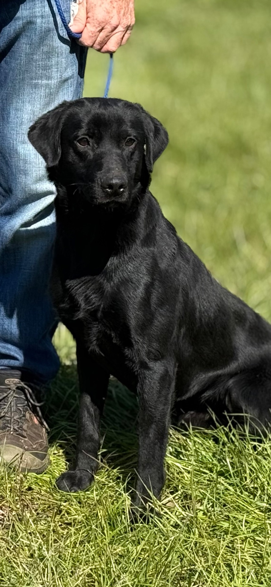 Clyde I . 25 photo 4