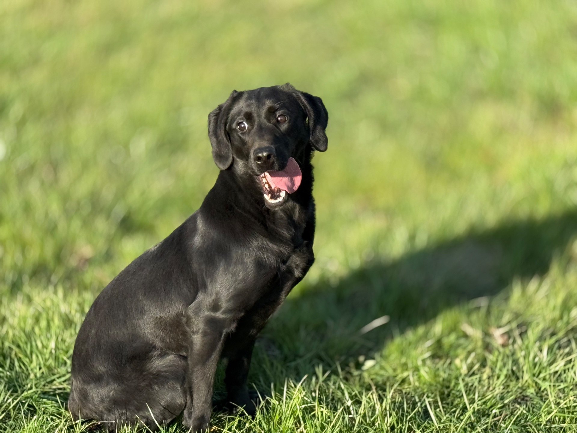 Liberty P. 25 photo 4