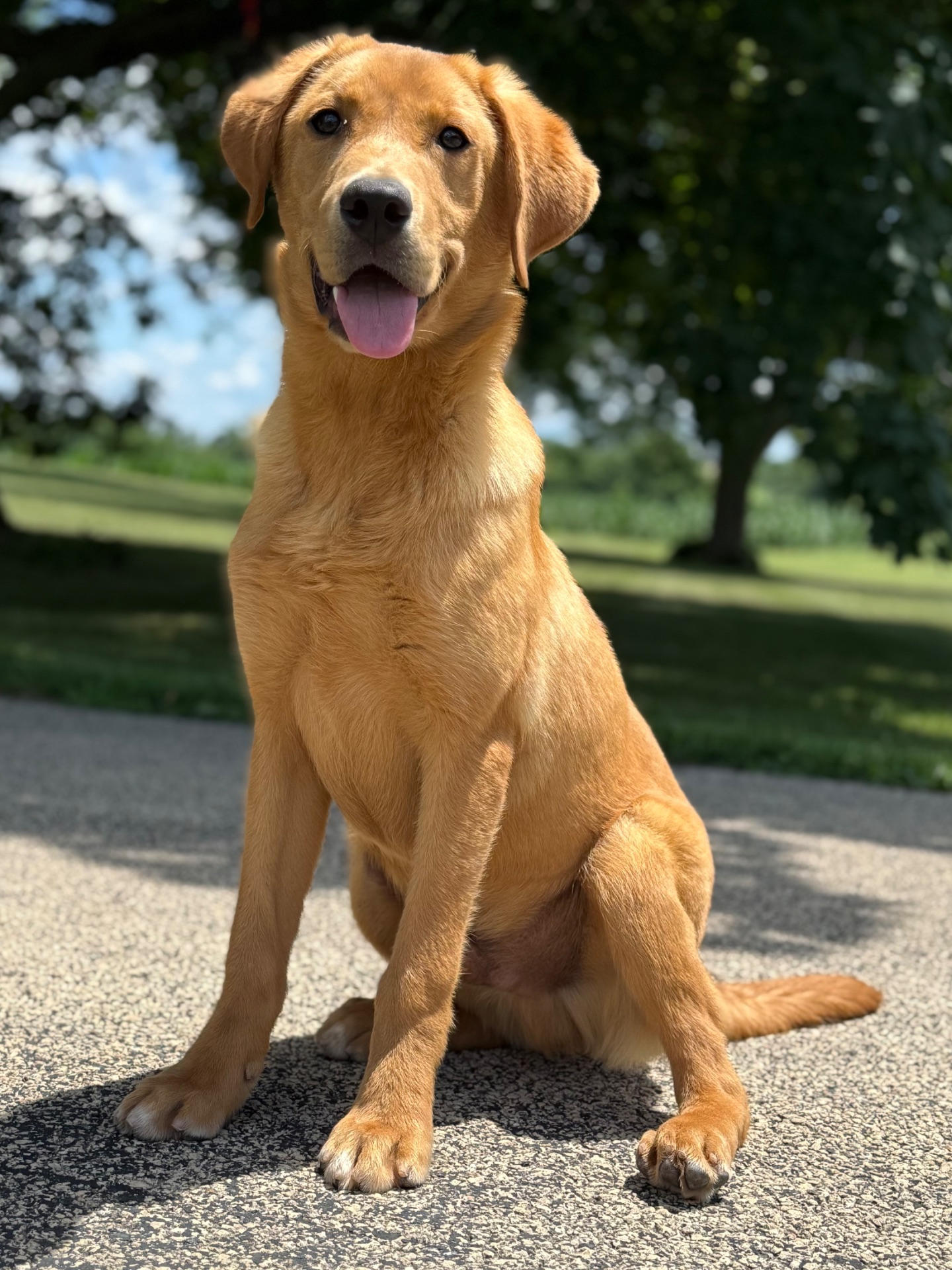 Rome - Grand Passage Rome of Massbach