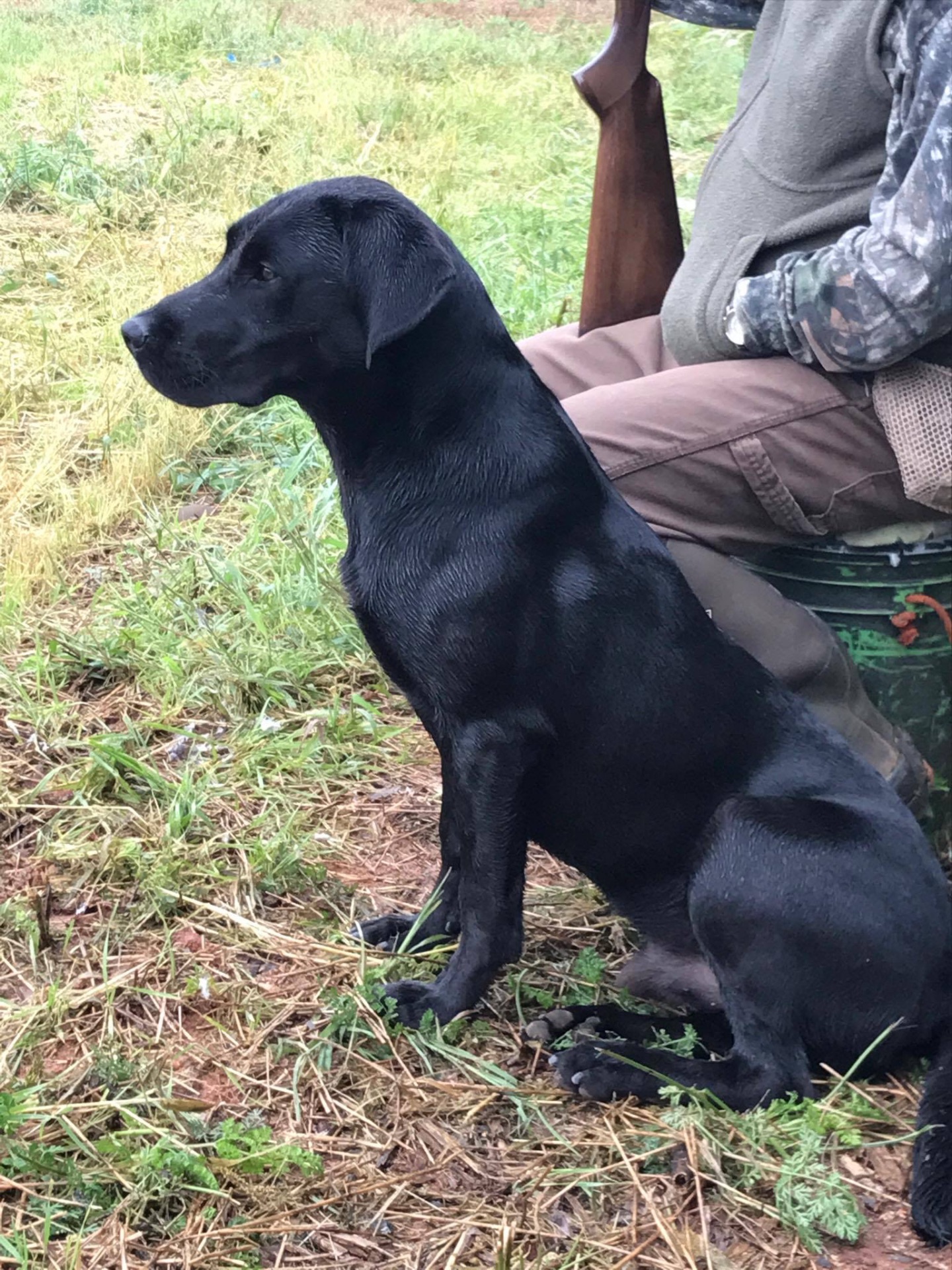 Goose "ELITE FTW BROOKBIRD BANG" photo 2