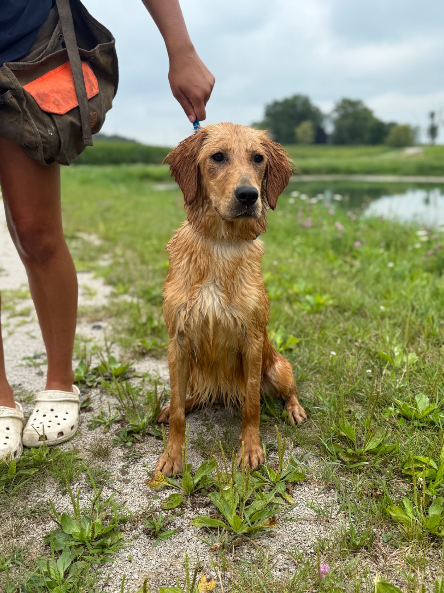 Maggie