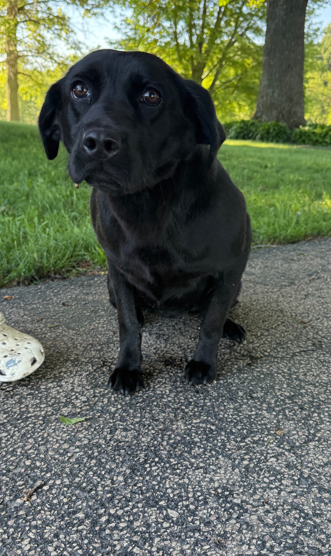 Betty