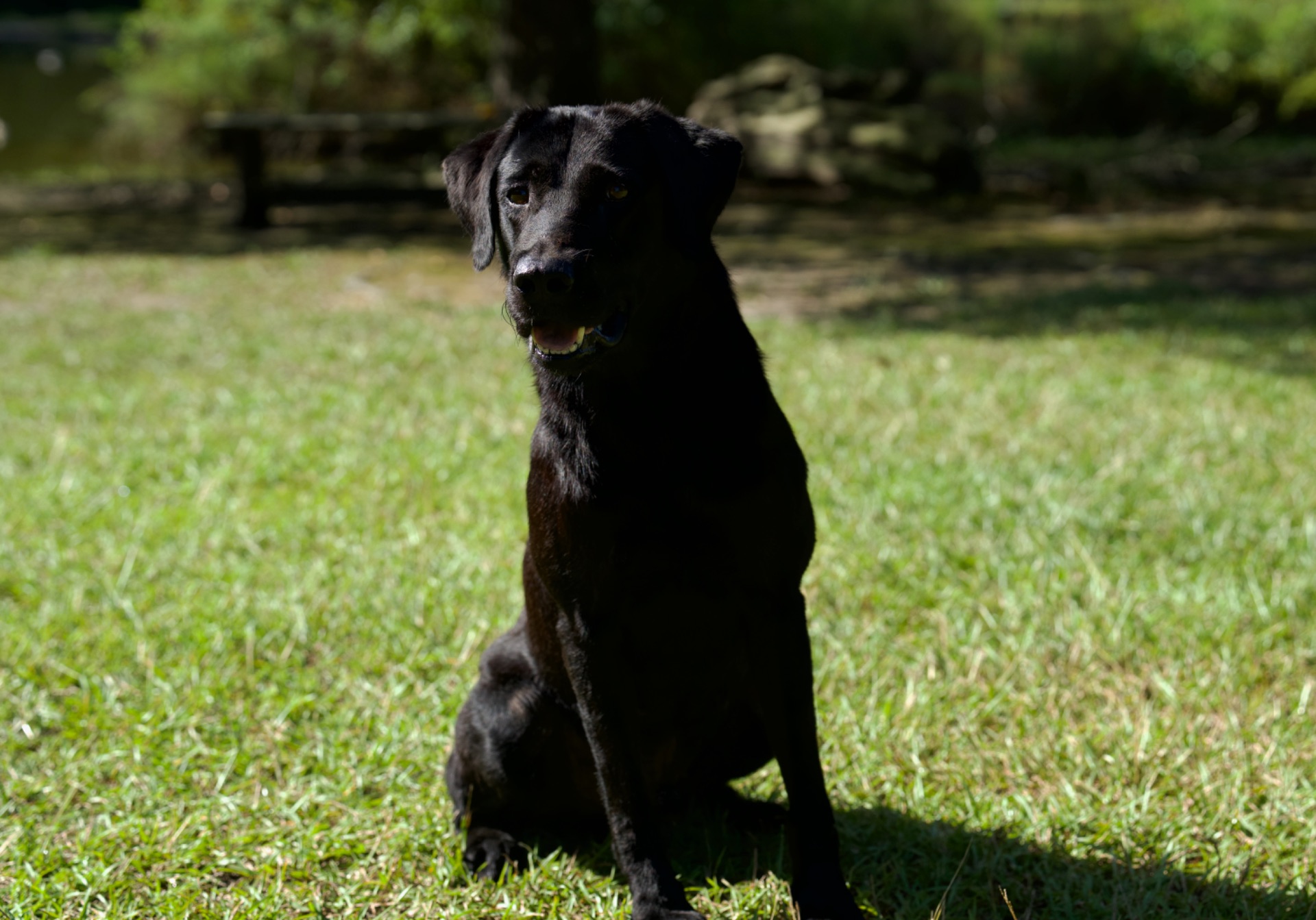 Ace's Deek of Diablo photo 4