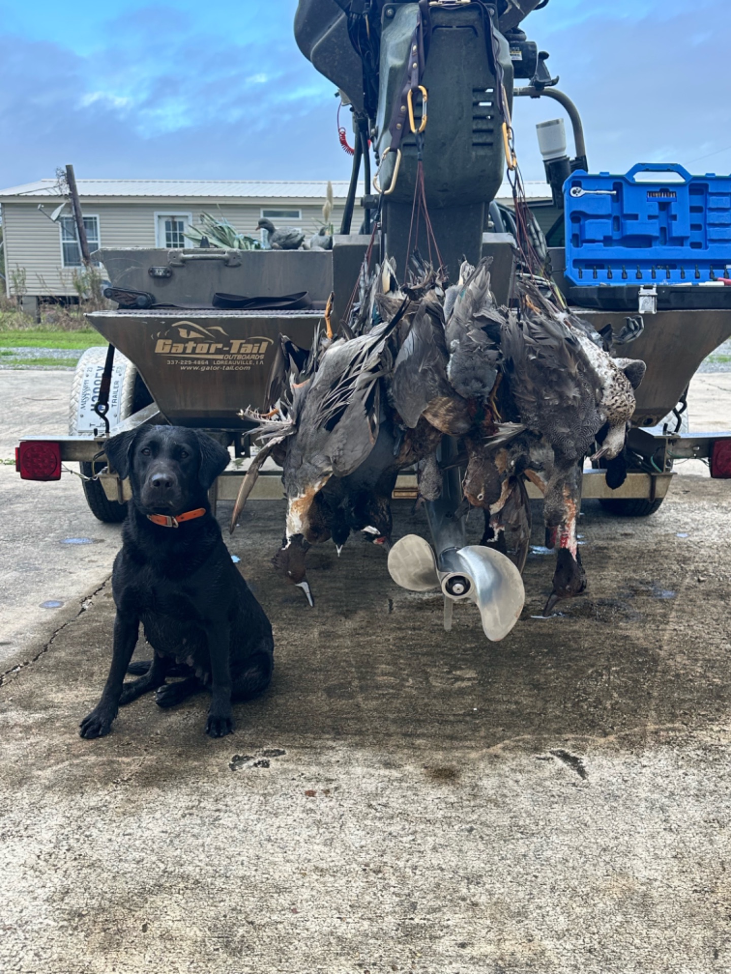 Sky F "ace's Elite Sky Of Choctaw" photo 4