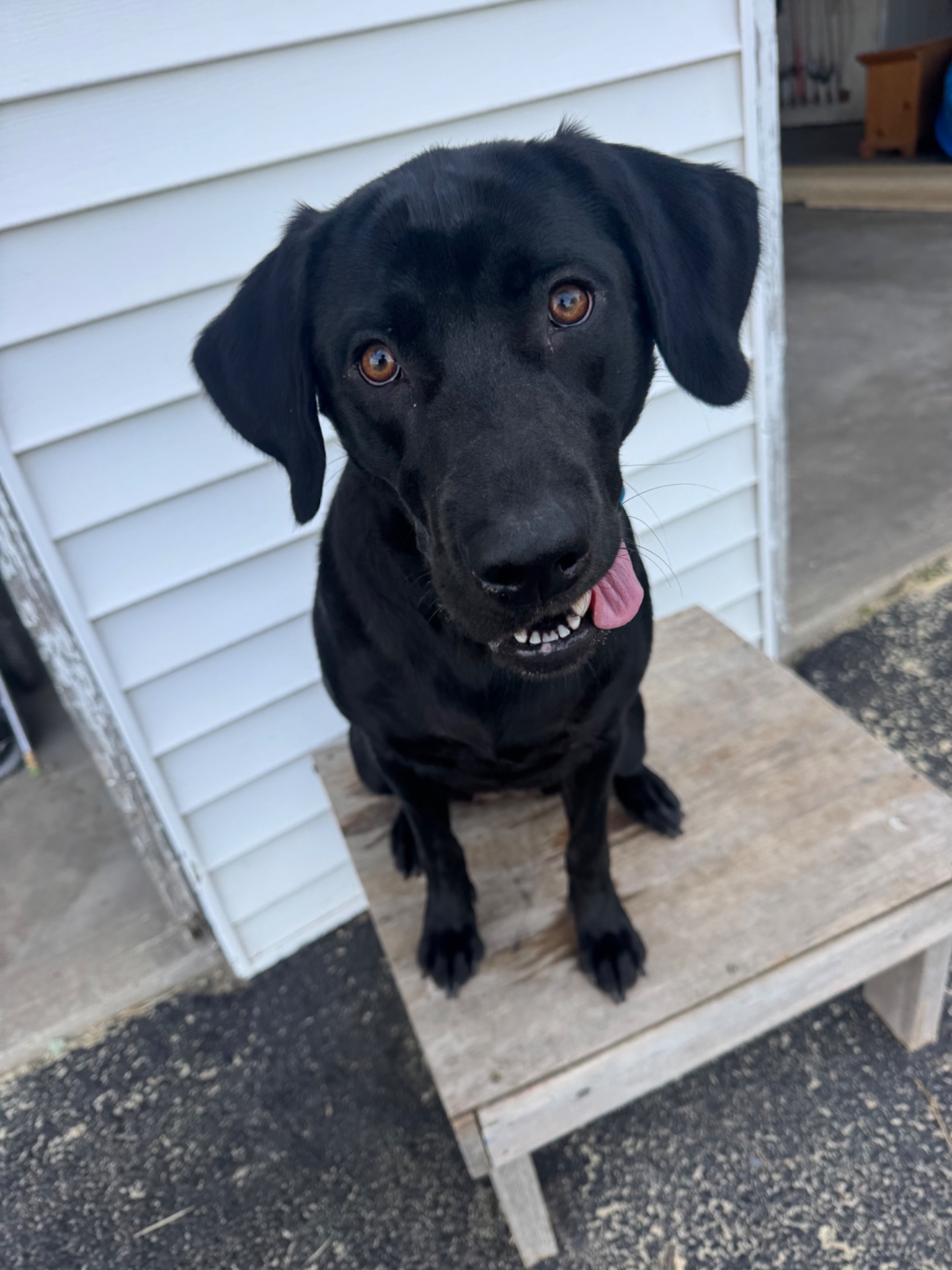 Oakley