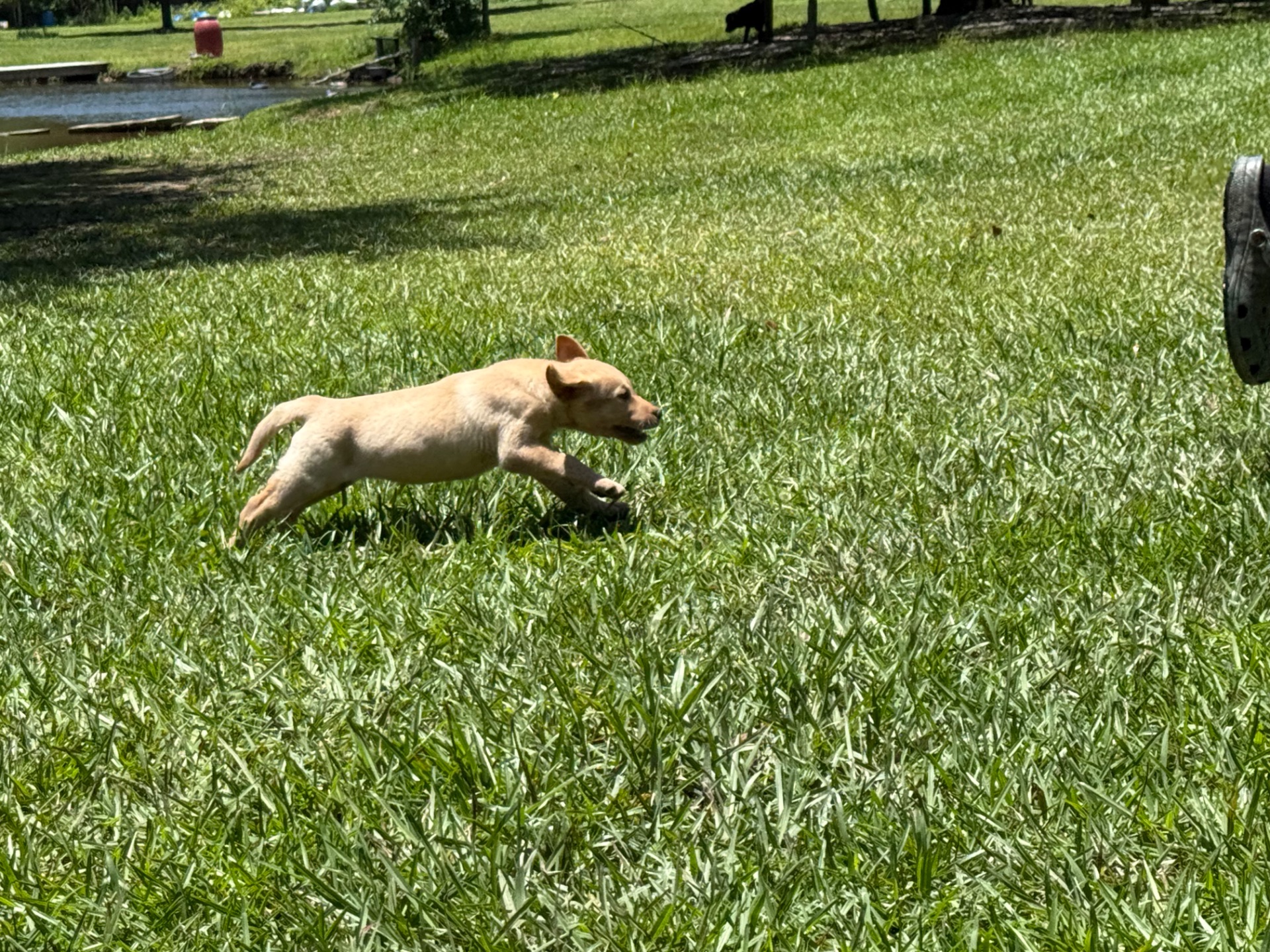 Riggs 26 photo 8