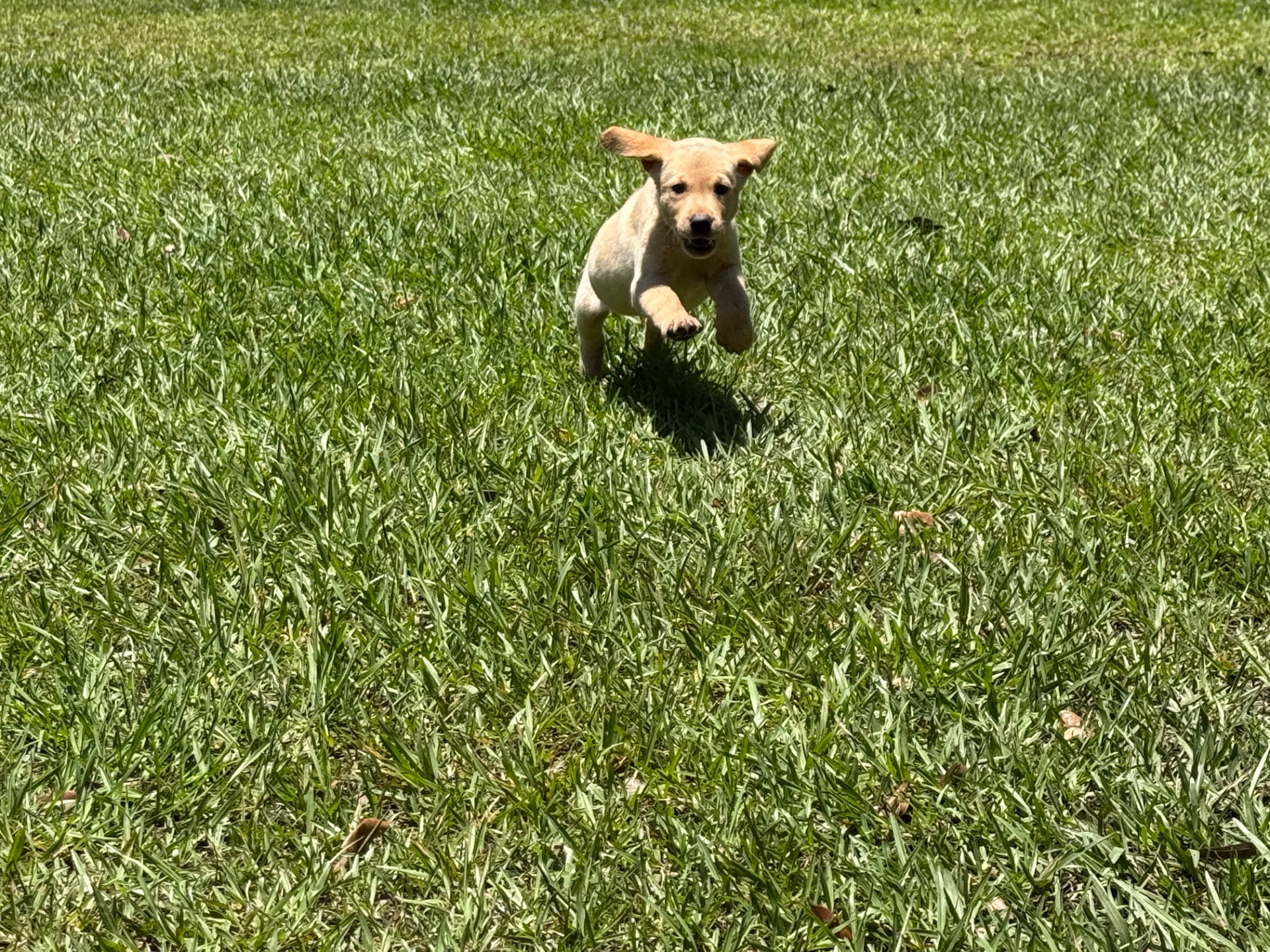Riggs 26 photo 10