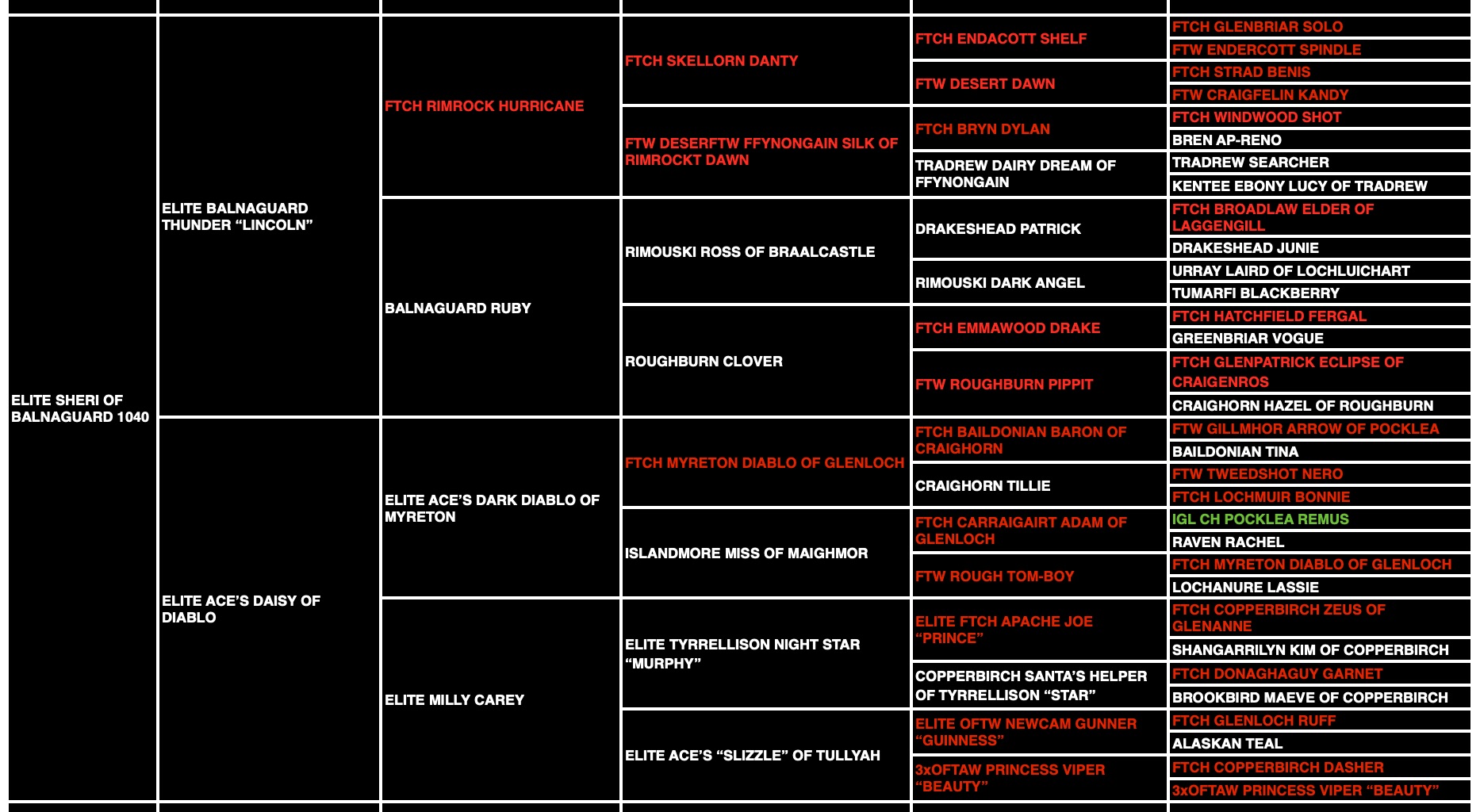 Sheri "ace's Sheri Of Balnaguard" pedigree