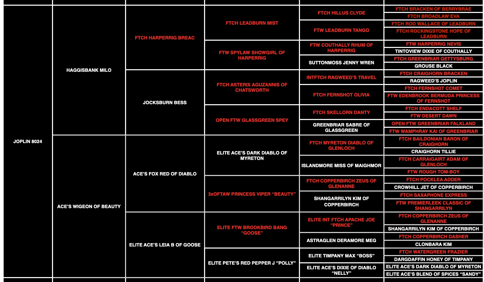 Joplin " Ace's Joplin Of Haggisbank" pedigree