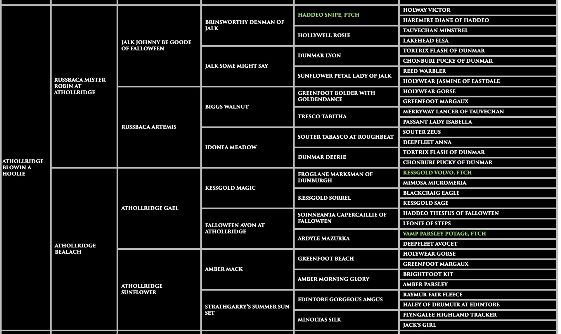 Haggis - Athollridge Blowin A Hoolie Pedigree
