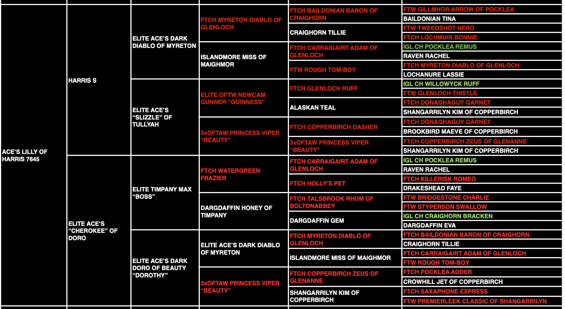 Lilly "Ace's Lilly Of Harris" pedigree