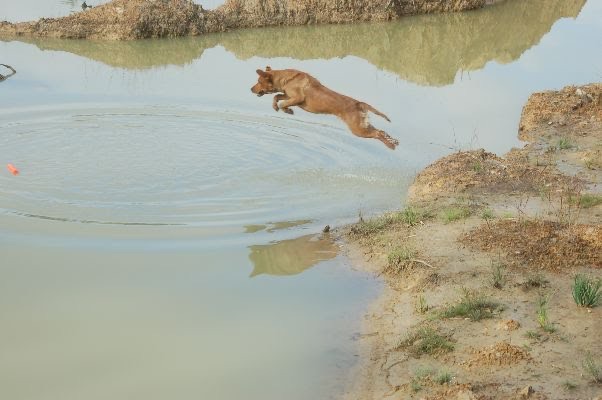 Diablo "Aces Dark Diablo of Myrton" photo 2