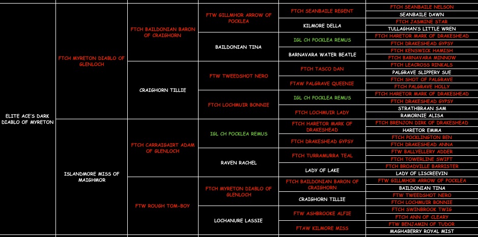 Diablo "Aces Dark Diablo of Myrton" pedigree